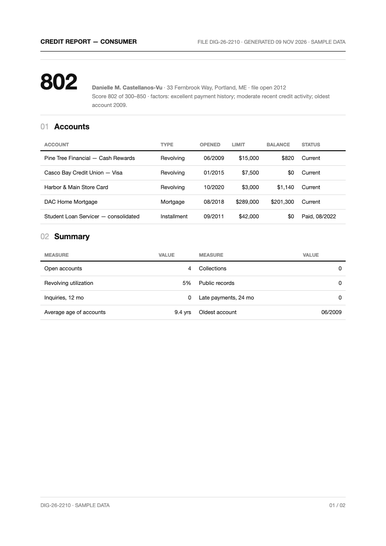 Tech minimalist credit report